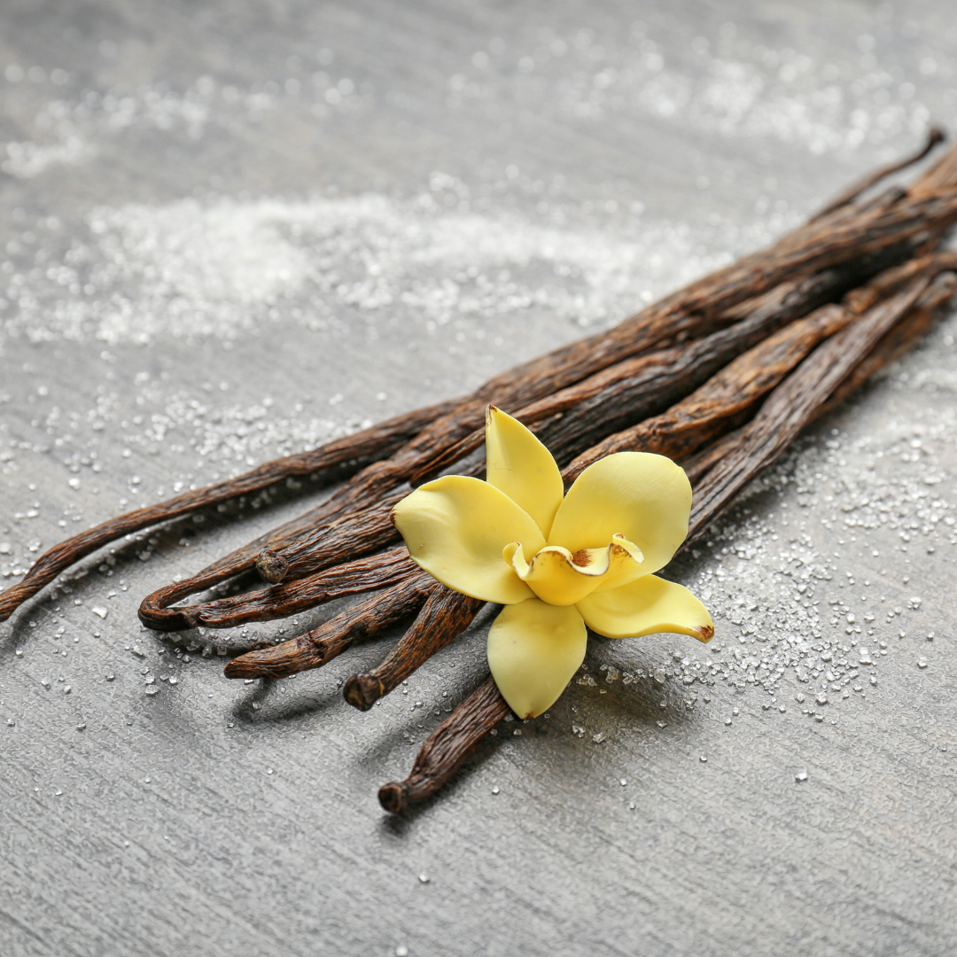 Truque para Brigadeiro Gourmet: Fava de Baunilha na Receita Clássica - inspiração 2