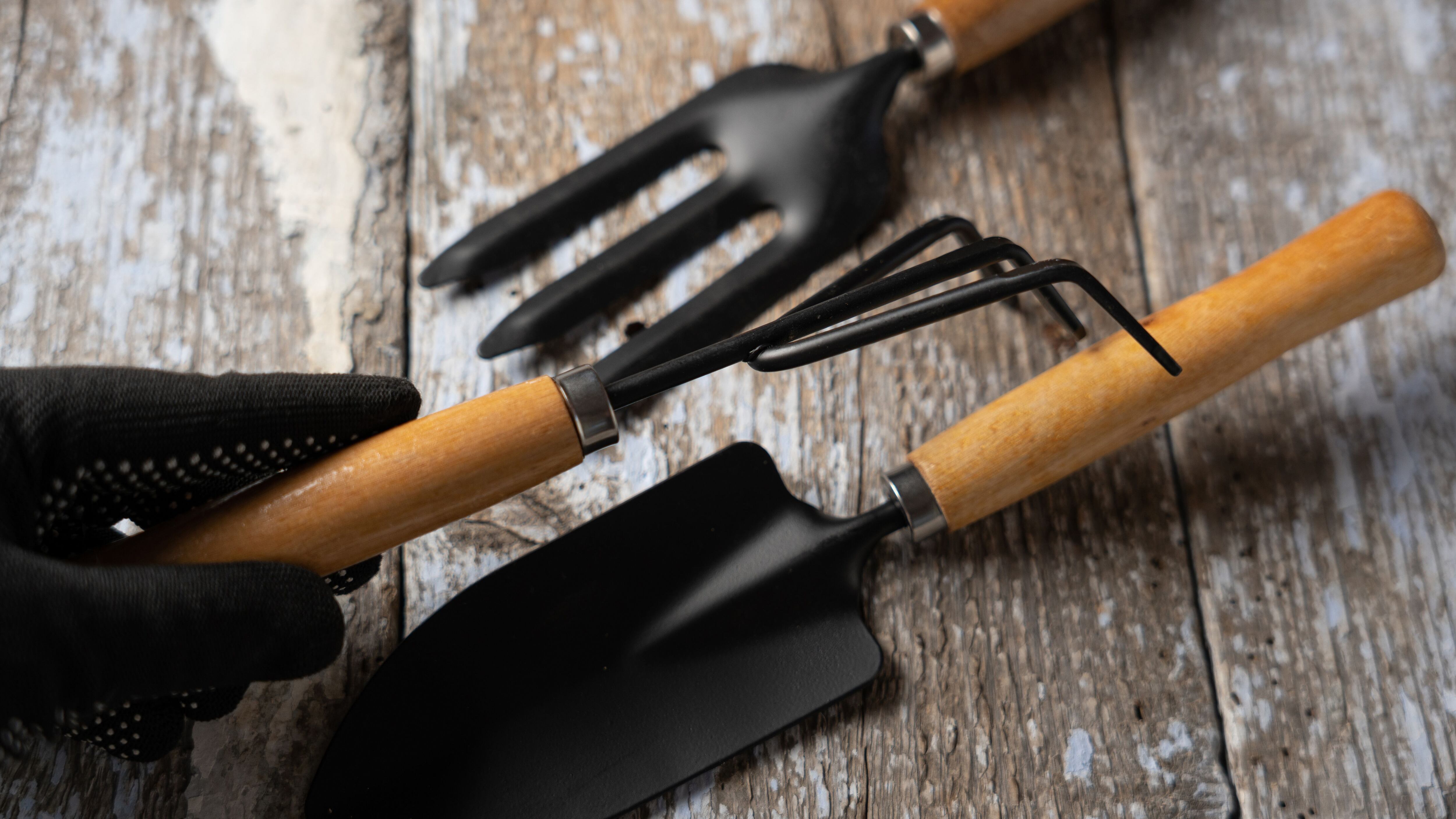 Garfo de Jardim: Aerando o Solo e Facilitando o Crescimento - inspiração 1