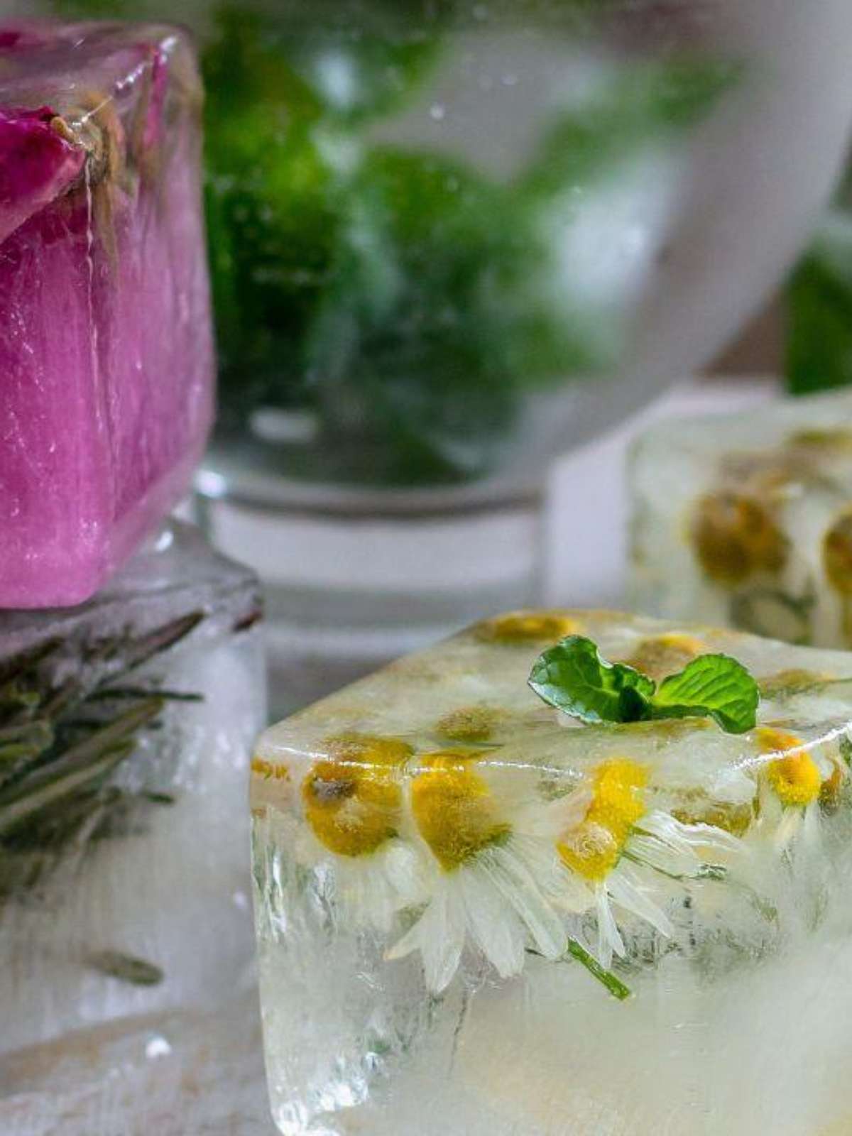 Cuidados Essenciais: Como Usar o Gelo de Ervas na Pele sem Cometer Erros - inspiração 2