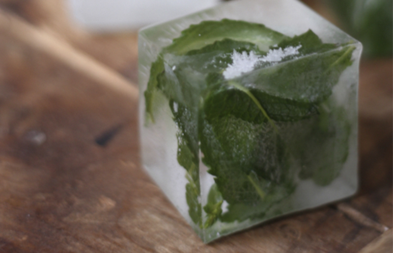 Segredo de Beleza: O Gelo de Ervas como Toque Revigorante para uma Pele Radiante - inspiração 2