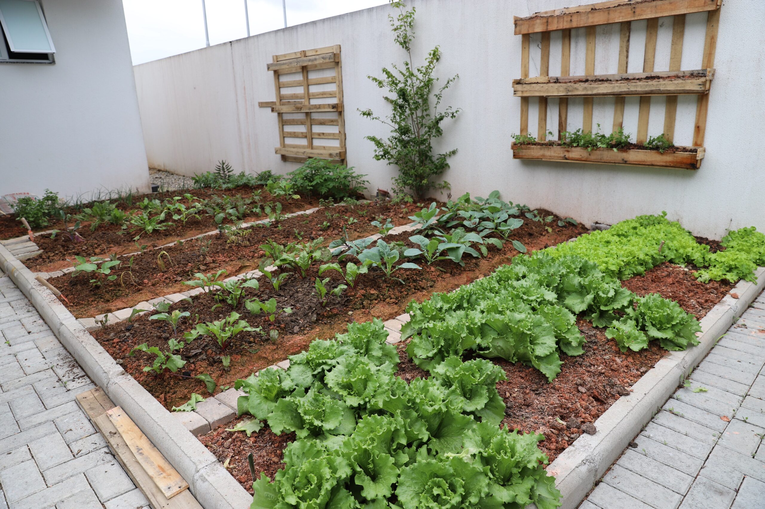 Cultivando Calma: O Poder Curativo do Contato com a Terra - inspiração 1