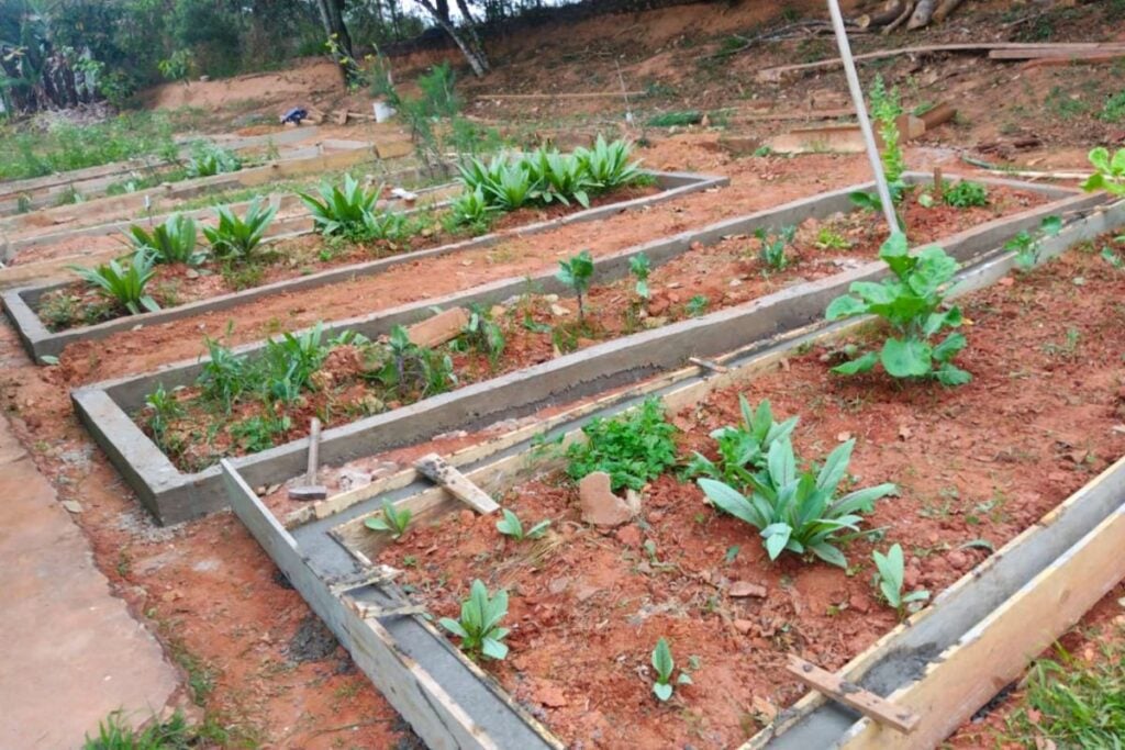 Cultivando Calma: O Poder Curativo do Contato com a Terra - inspiração 2