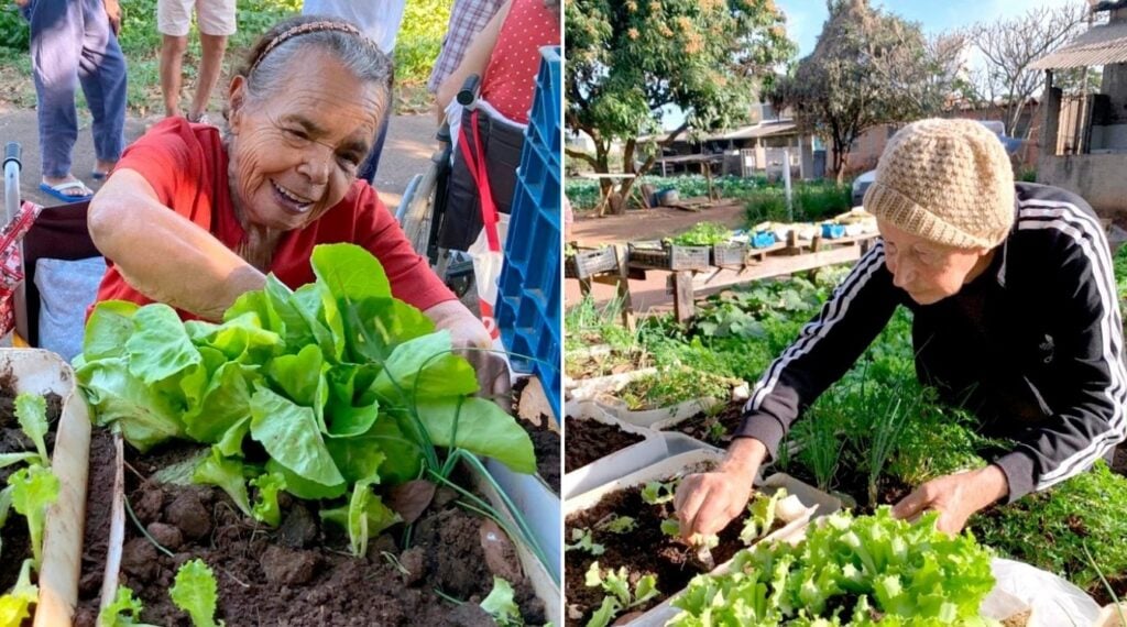 Cultivando Calma: O Poder Curativo do Contato com a Terra - inspiração 3