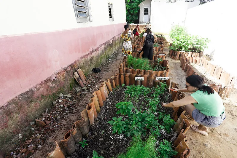 Da Semente ao Bolso: A Geração de Renda que Alimenta a Comunidade - inspiração 2