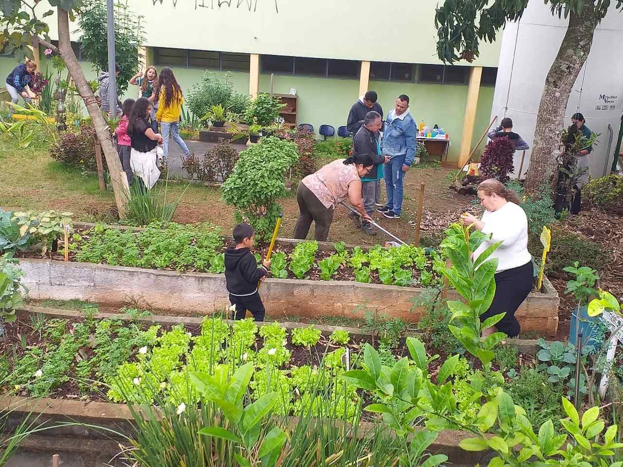 Mãos que Plantam, Autoestima que Brota: A Conquista da Autonomia - inspiração 2