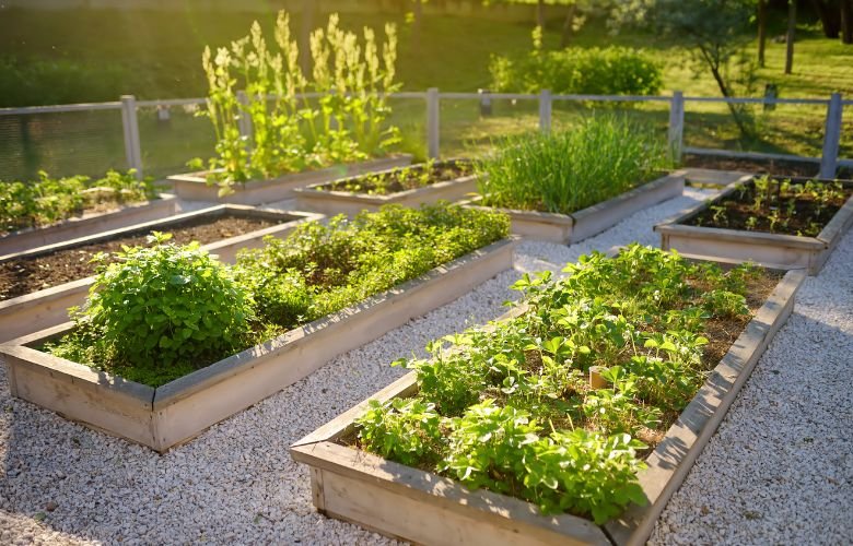 Mãos que Plantam, Autoestima que Brota: A Conquista da Autonomia - inspiração 3