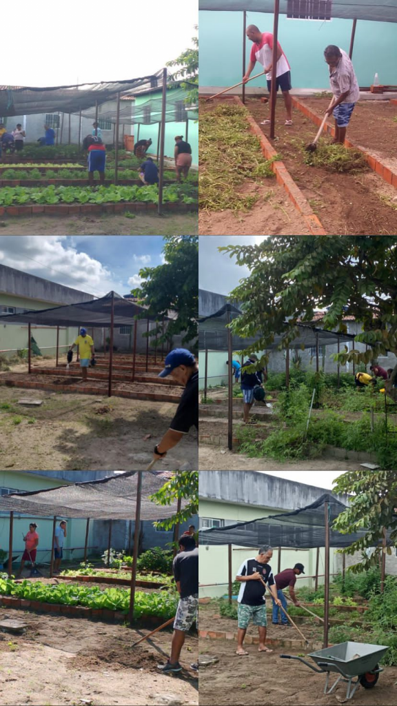 Semeando Conexões: Como a Horta Fortalece os Laços Sociais - inspiração 2