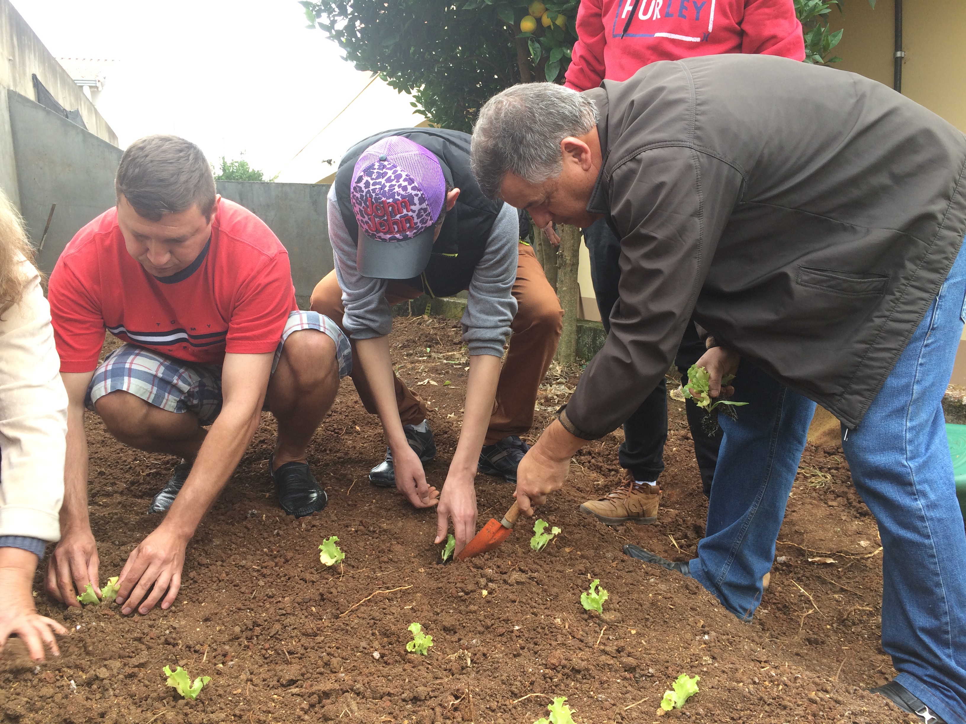 Ritmo e Respeito: A Disciplina que Floresce na Rotina da Horta - inspiração 2
