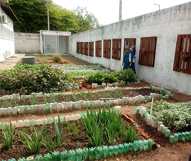 Ritmo e Respeito: A Disciplina que Floresce na Rotina da Horta - inspiração 3