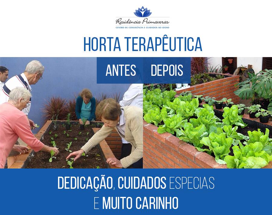 Nutrindo o Corpo e a Mente: O Sabor Fresco dos Alimentos Cultivados - inspiração 2