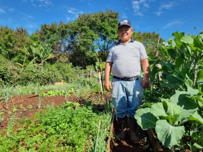 Nutrindo o Corpo e a Mente: O Sabor Fresco dos Alimentos Cultivados - inspiração 3