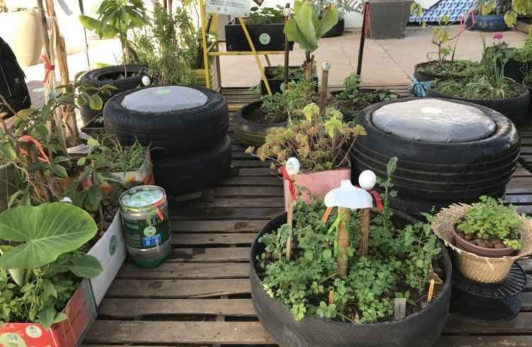 Heranças Verdes: O Encanto das Plantas Medicinais e Saberes Ancestrais - inspiração 1