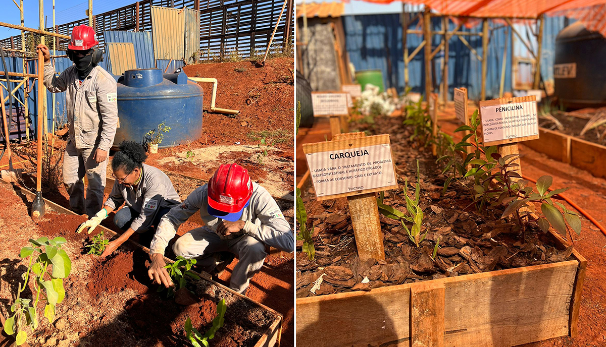 Heranças Verdes: O Encanto das Plantas Medicinais e Saberes Ancestrais - inspiração 3