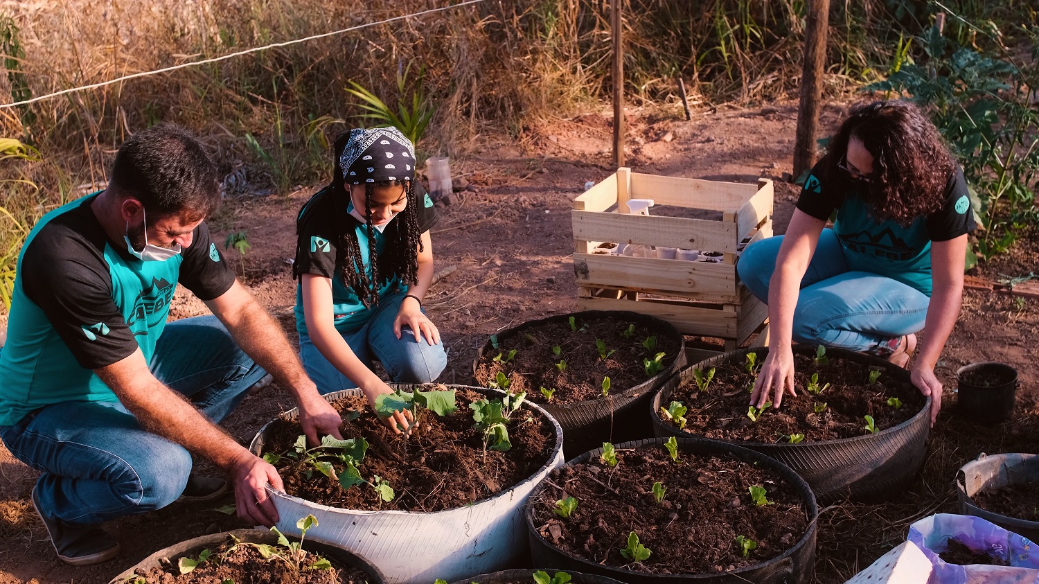 Um Toque de Sol e Sucesso: Escolhendo o Local Ideal para o Plantio - inspiração 2