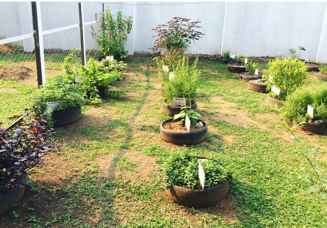 Todos de Mãos Dadas: A Integração Essencial dos Participantes - inspiração 3