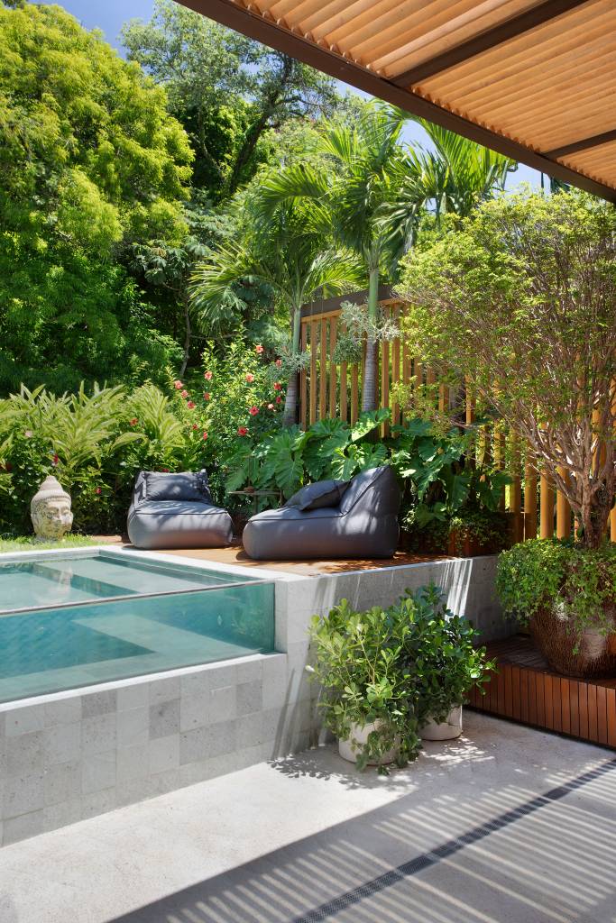 Dica de Ouro: Comece com as Plantas Certas - inspiração 2