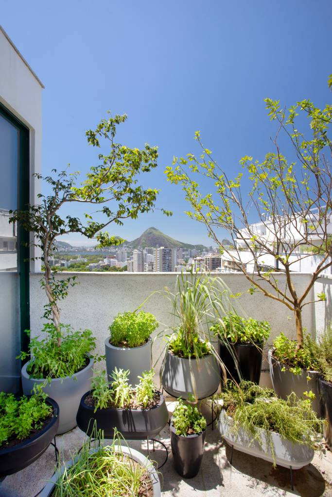 Dica de Ouro: Comece com as Plantas Certas - inspiração 3