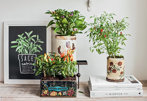 Erro Comum: Ignorar as Necessidades das Lagartas - inspiração 1