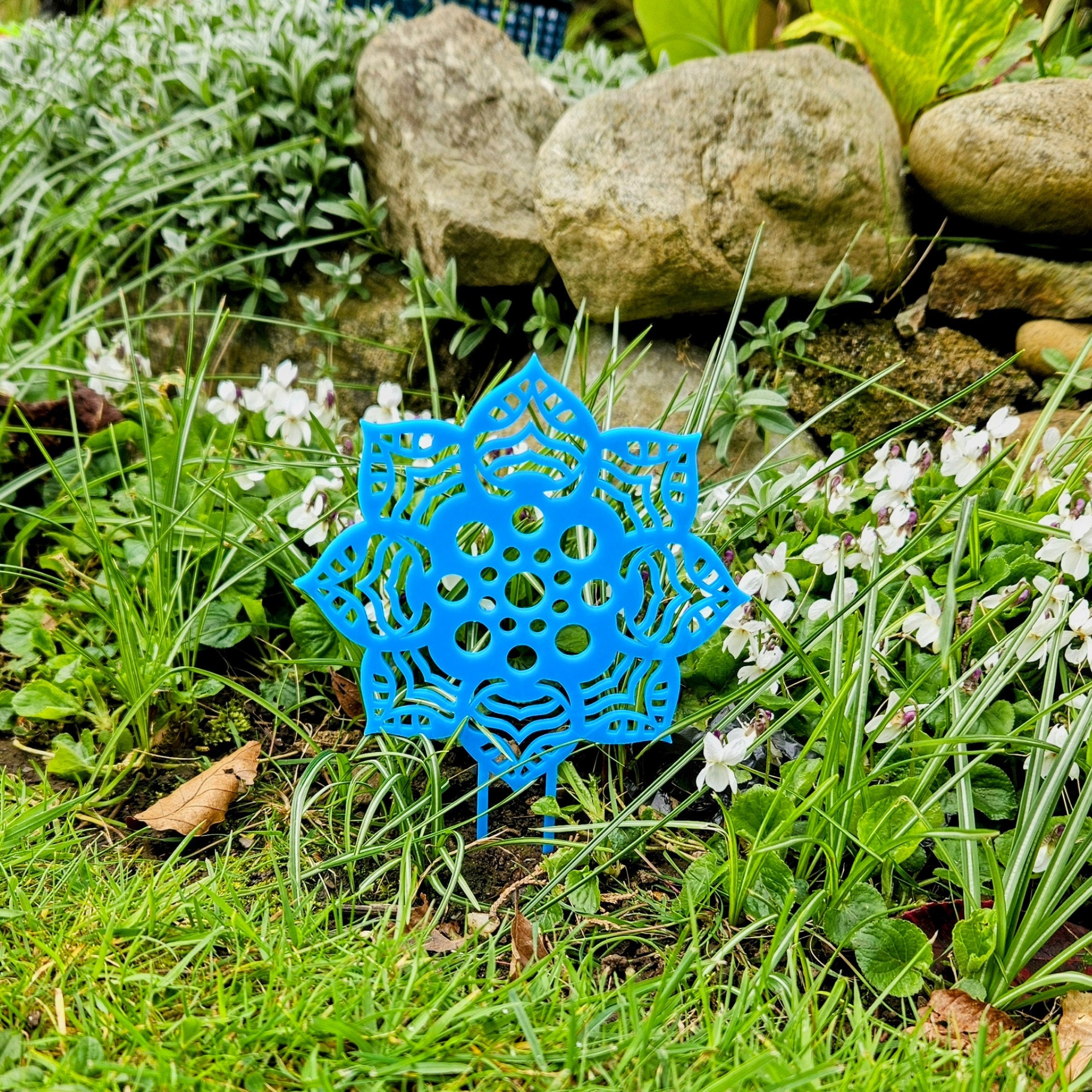 Dica de Especialista: Sol e Água na Medida Certa - inspiração 3