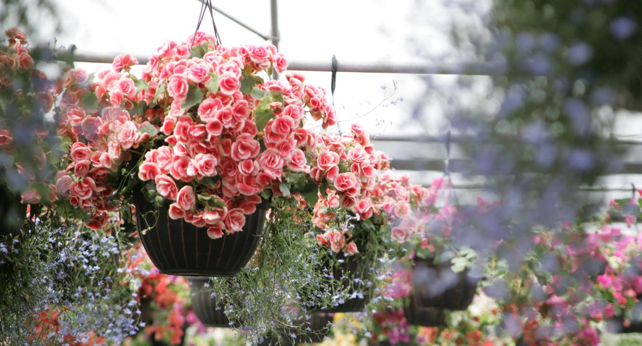 Floreiras Temáticas: Um Toque Pessoal à Sua Varanda - inspiração 2