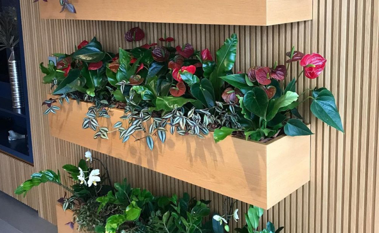 Jardins Suspensos: Leveza e Movimento no Seu Refúgio Urbano - inspiração 3