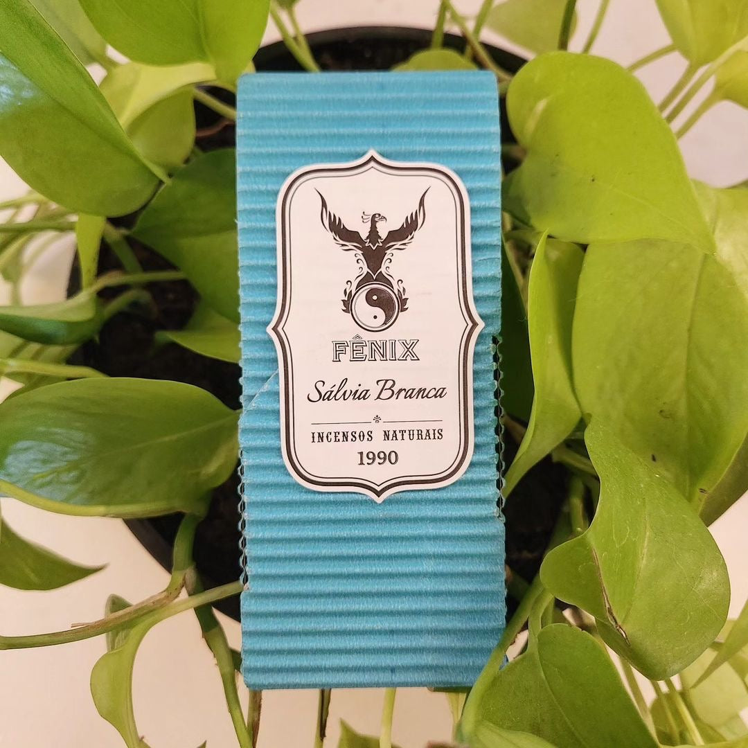 Antes de Acender: Preparando seu Ambiente para Receber as Boas Vibrações - inspiração 1