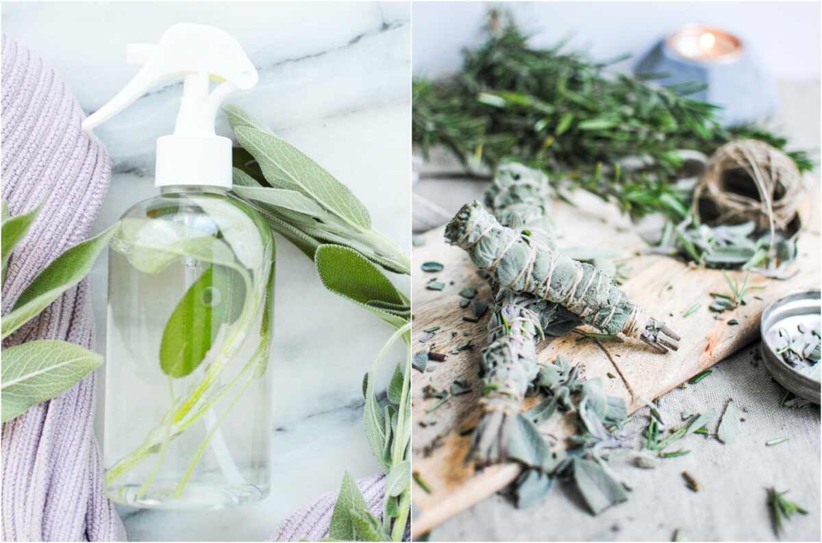 Sentindo o Aroma: Descobrindo as Notas Olfativas Únicas da Sálvia Branca - inspiração 1