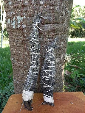 Sentindo o Aroma: Descobrindo as Notas Olfativas Únicas da Sálvia Branca - inspiração 2