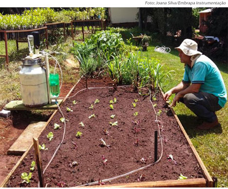 Saúde no Prato: Maximizando a Produção com Irrigação Solar - inspiração 1