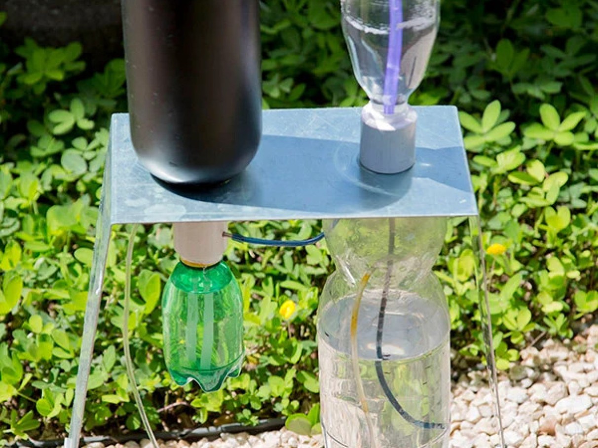 Como Calcular a Necessidade de Água das Suas Plantas (Sem Complicação) - inspiração 2