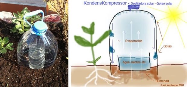 Como Calcular a Necessidade de Água das Suas Plantas (Sem Complicação) - inspiração 3