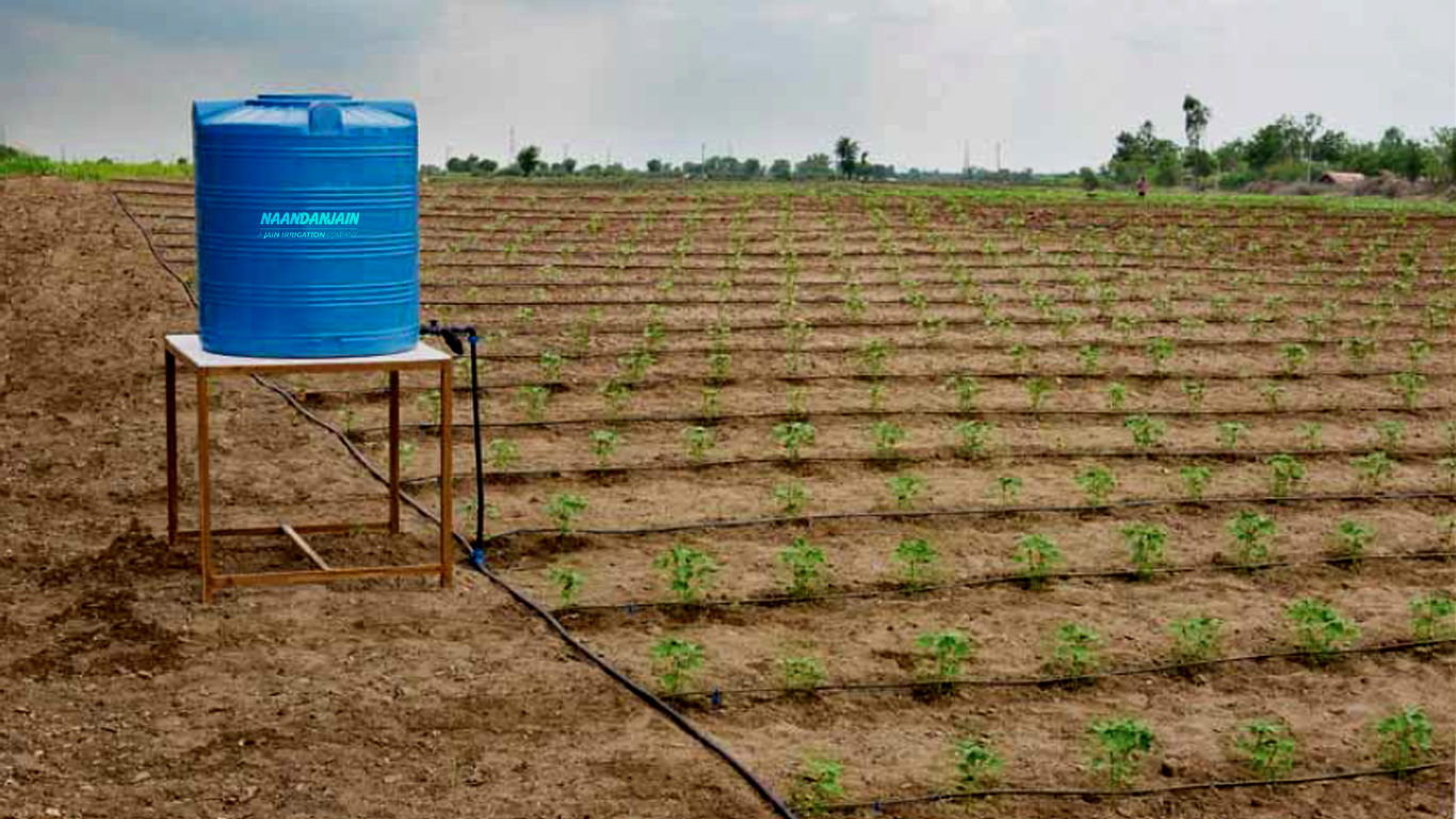 Erros Comuns que Você Deve Evitar na Irrigação Solar - inspiração 3
