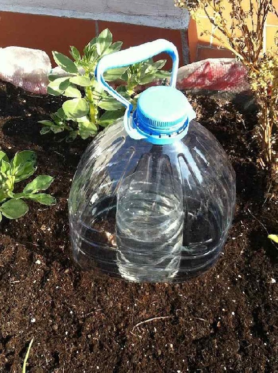 A Importância da Filtragem da Água: Proteja Seus Gotejadores - inspiração 1