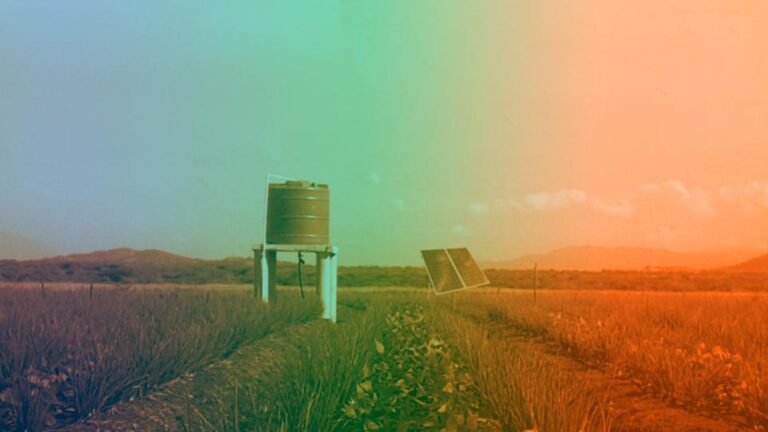 Dica de Especialista: Prolongando a Vida Útil das Mangueiras - inspiração 2