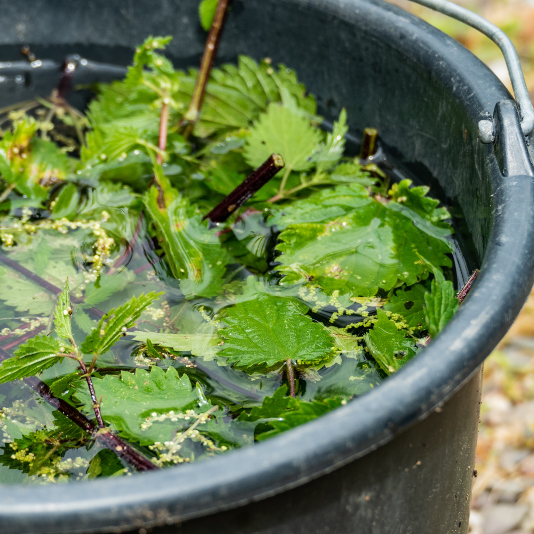 Prepare o Seu Adubo Líquido: O Passo a Passo para uma Horta Vibrante - inspiração 2