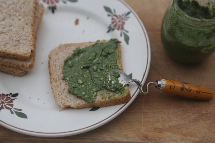 Prepare o Seu Adubo Líquido: O Passo a Passo para uma Horta Vibrante - inspiração 3