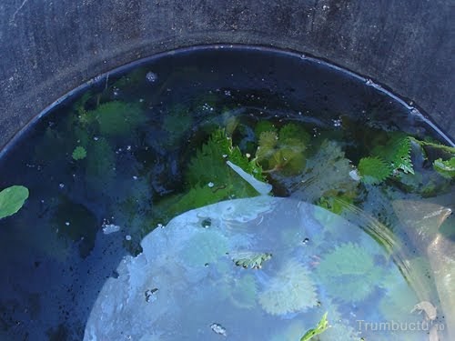 Sinais da Perfeição: Como Reconhecer um Macerado Agrícola Bem Fermentado - inspiração 1