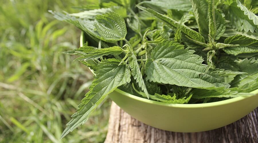 Sinais da Perfeição: Como Reconhecer um Macerado Agrícola Bem Fermentado - inspiração 2