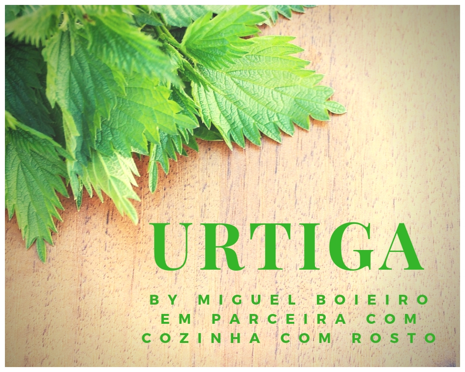 Sinais da Perfeição: Como Reconhecer um Macerado Agrícola Bem Fermentado - inspiração 3