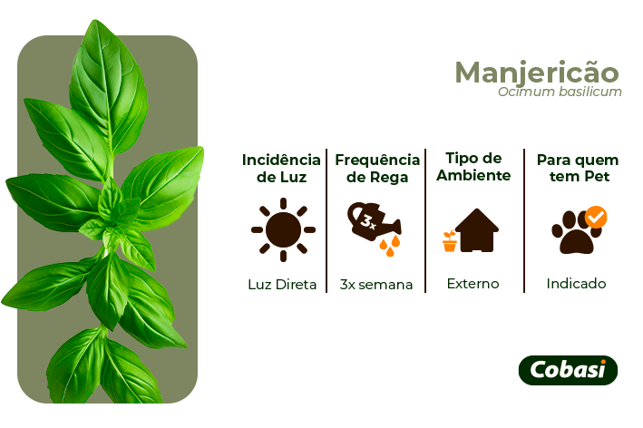 O Lar Perfeito: Escolhendo Vasos que Abraçam a Drenagem Eficiente - inspiração 2
