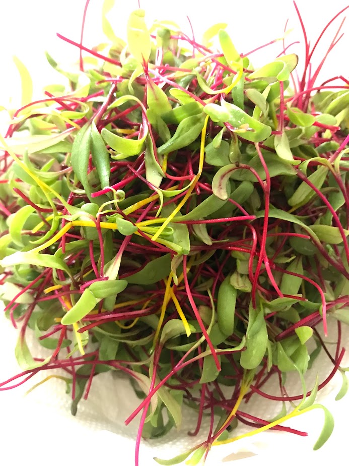 Iluminação Estratégica: Sol na Medida Certa - inspiração 1