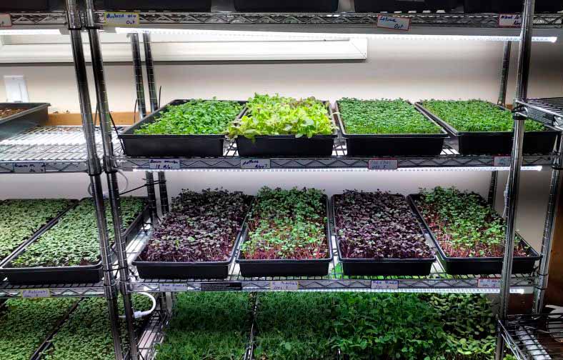 Iluminação Estratégica: Sol na Medida Certa - inspiração 2