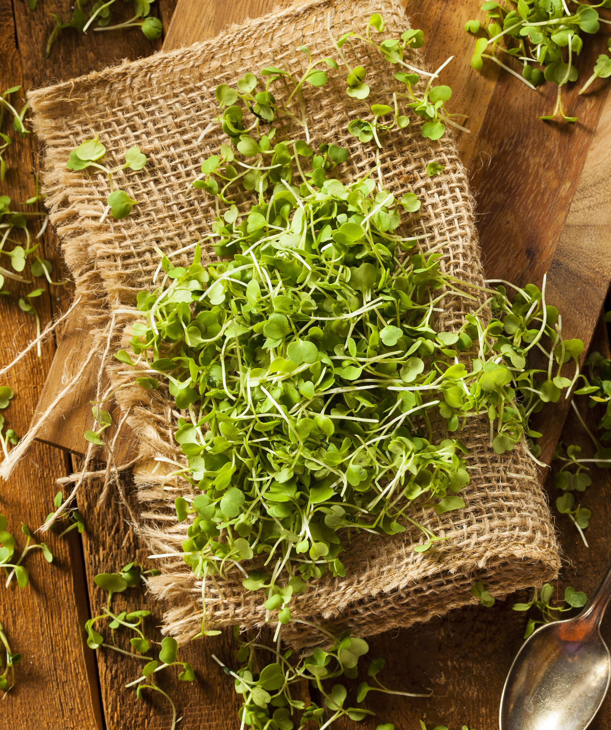 Recipientes Criativos: Dê Uma Nova Função a Objetos Esquecidos - inspiração 3