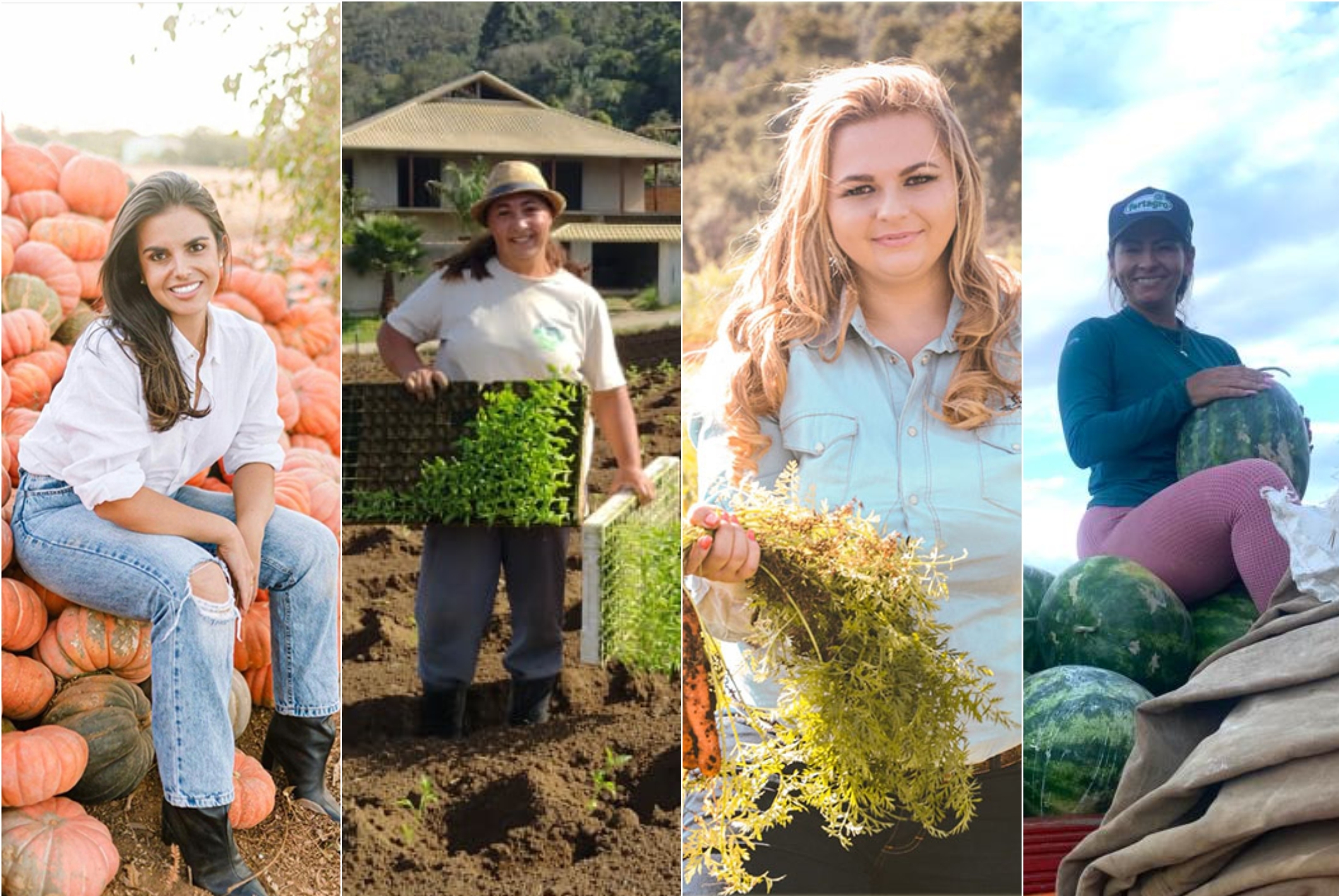 Gestão Sustentável de Propriedades Rurais: O toque feminino na terra. - inspiração 2