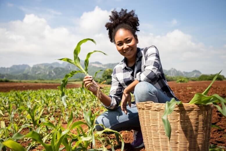 Marketing e Vendas: Dicas para destacar seus produtos e conquistar o mercado. - inspiração 1