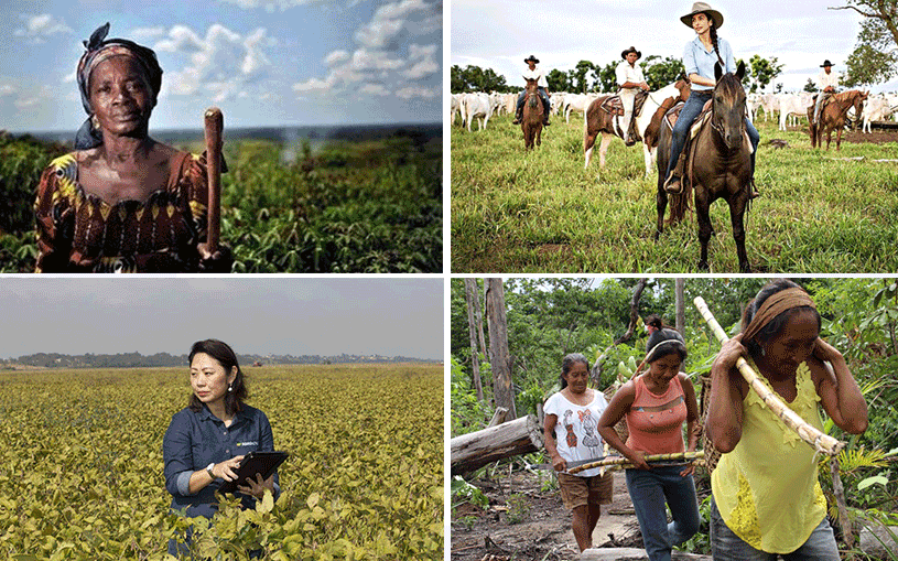 Tecnologia no Campo: Mulheres na linha de frente da inovação agrícola. - inspiração 3