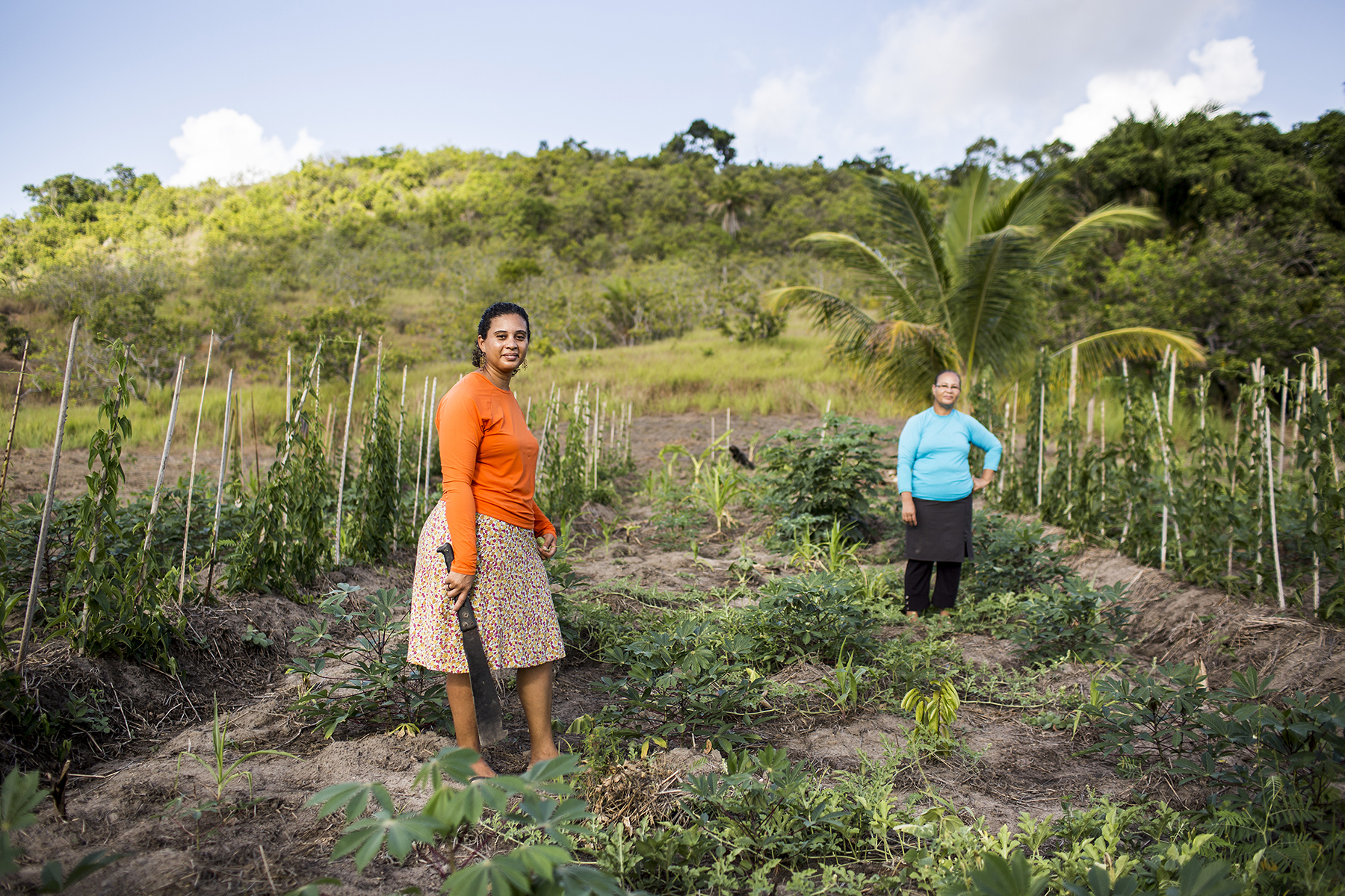Sucessão Familiar Inteligente: Jovens mulheres reinventando o legado rural. - inspiração 3