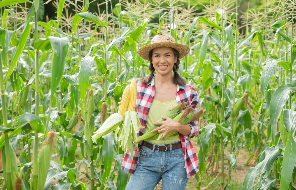 Agricultura Regenerativa: O compromisso feminino com a saúde do planeta. - inspiração 3