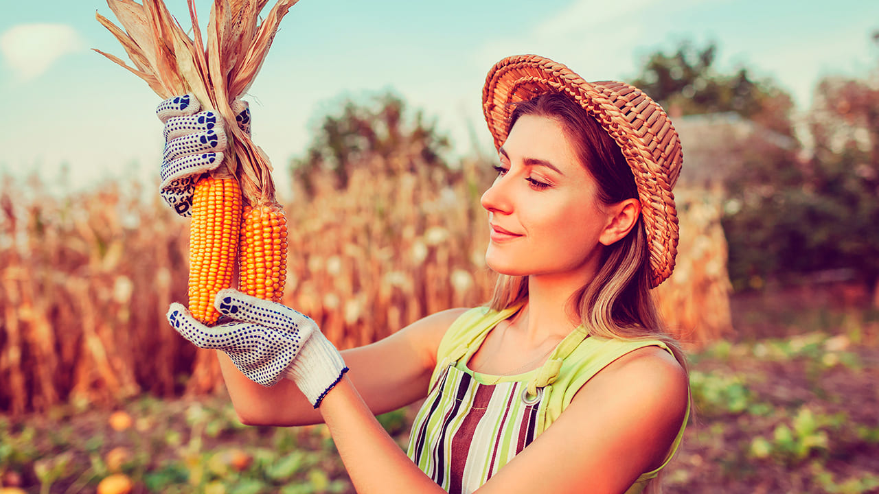 Liderança em Agritechs: Mulheres moldando o futuro do agronegócio. - inspiração 1