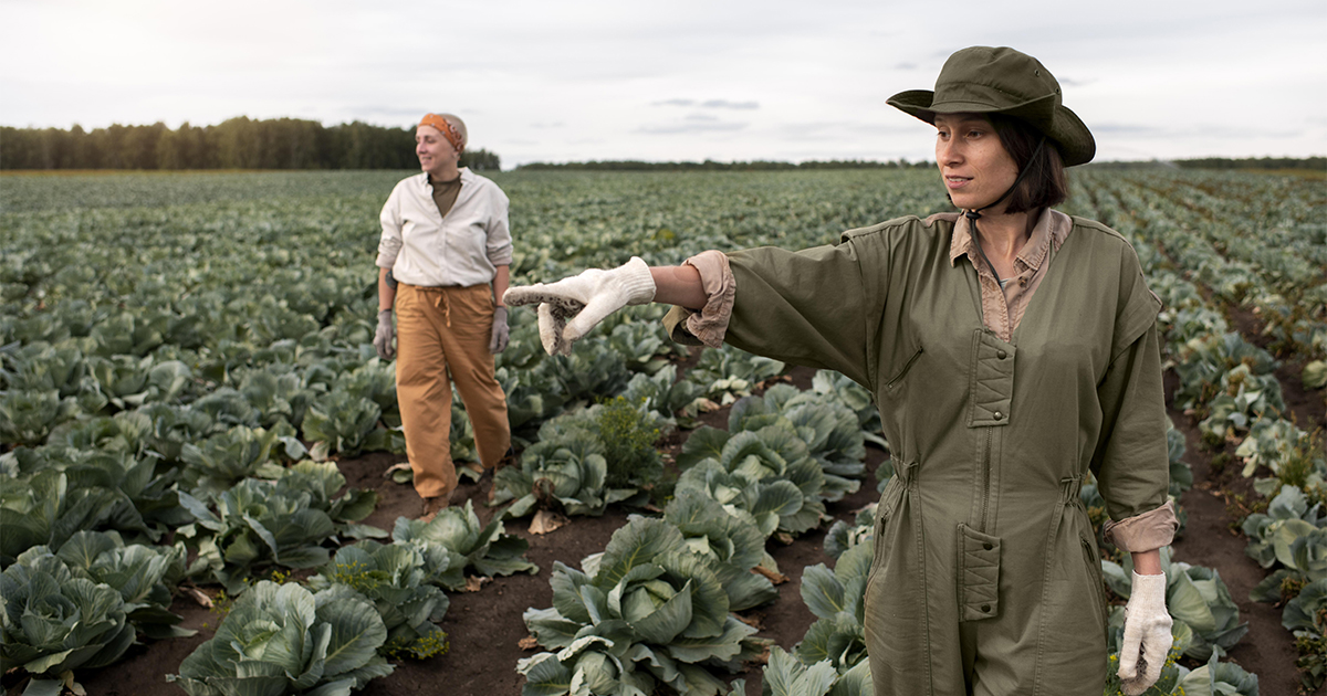 Diversificação de Culturas: Expandindo horizontes e maximizando a renda. - inspiração 3